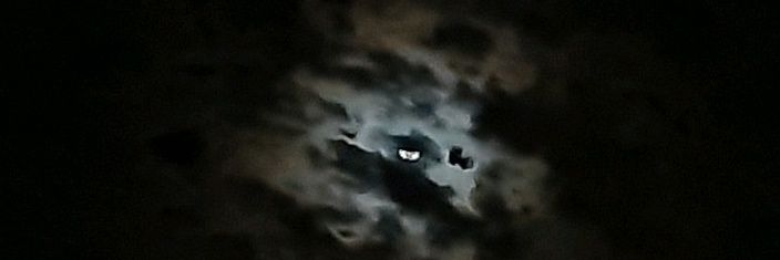 TannRz's profile banner image