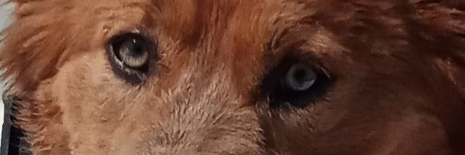 ASexton33's profile banner image