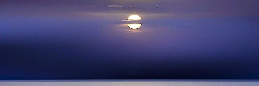 Ali Yarrow Isaaq banner