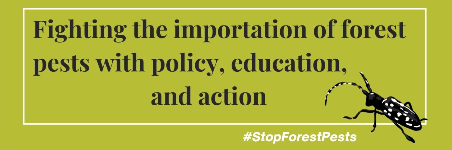 treeSMARTtrade banner