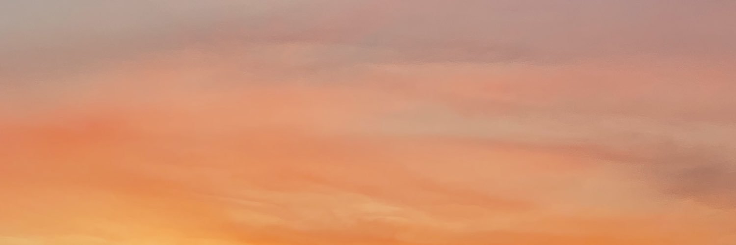 estefibroca's profile banner image