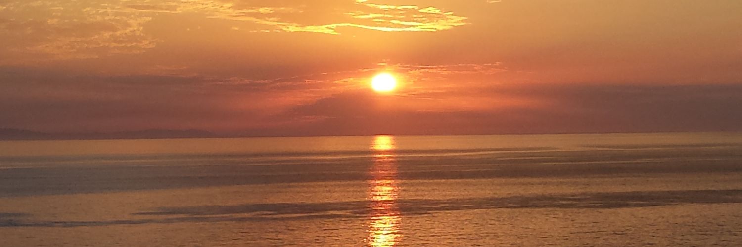 PauletteTemple's profile banner image