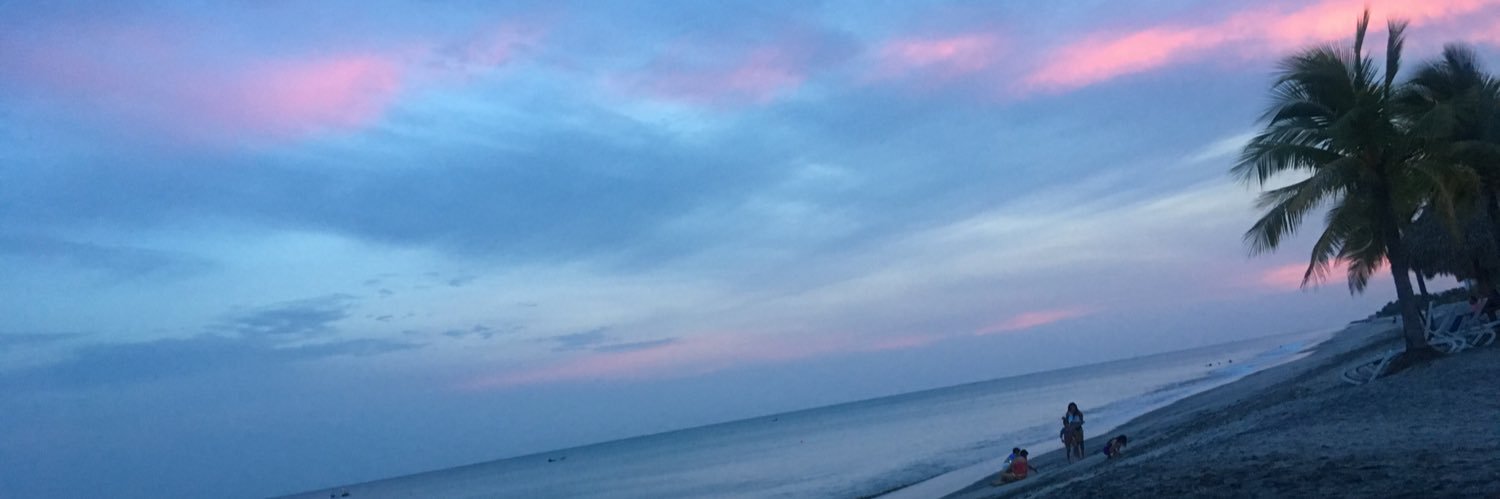 lcgrey8's profile banner image