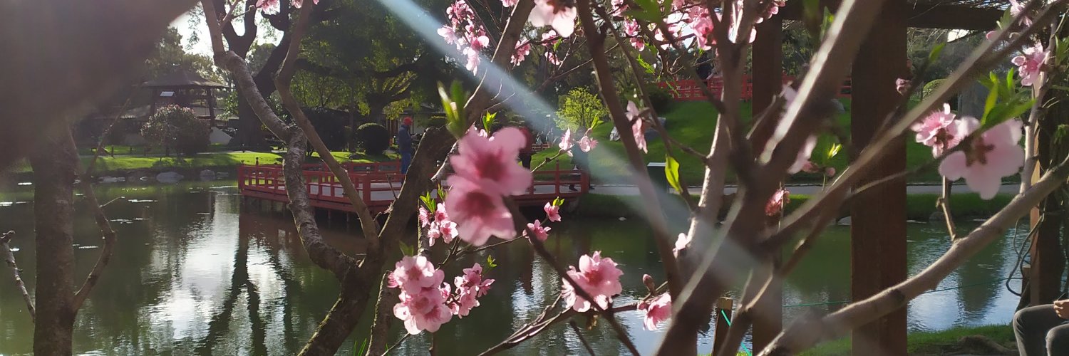 Luisa Salomón banner