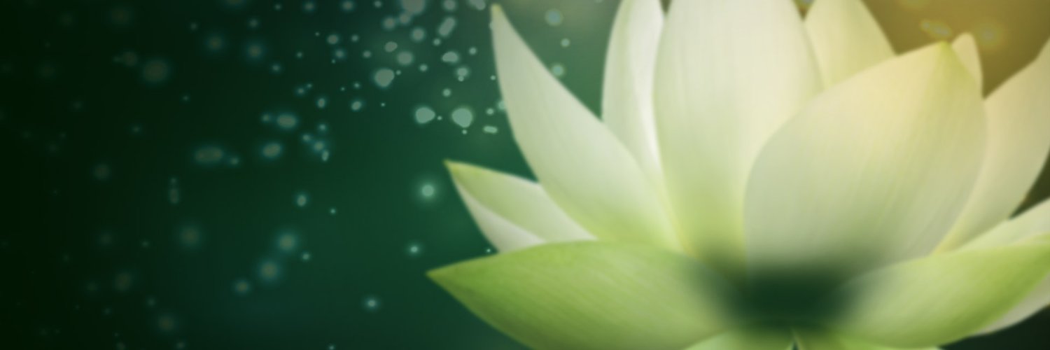 ericchen2004's profile banner image