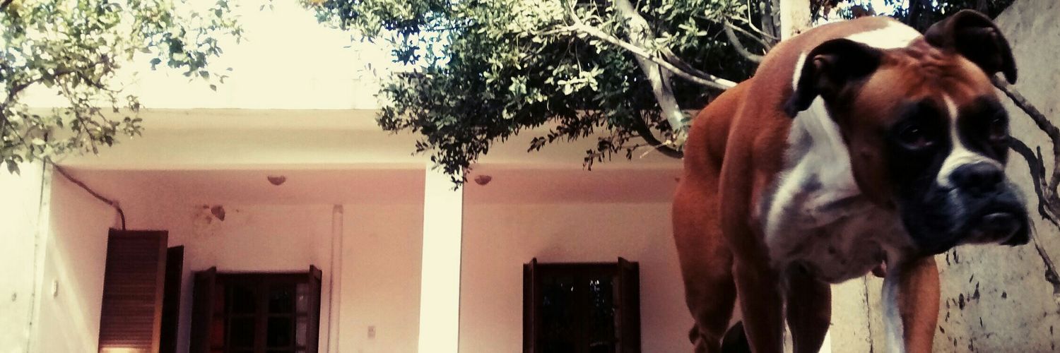 ovejerocar's profile banner image