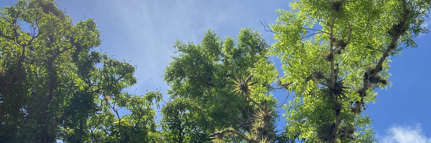 einomrah 🌻 banner