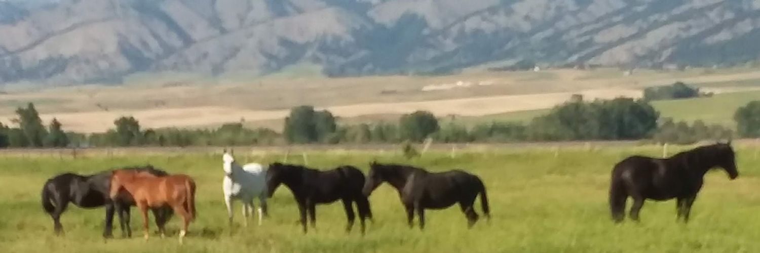 HorsesRGreat's banner
