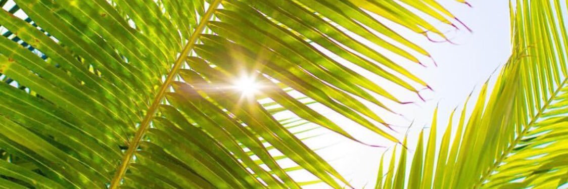 lauchjm's profile banner image