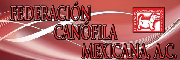 Fed.Canófila Mex,AC Profile Banner