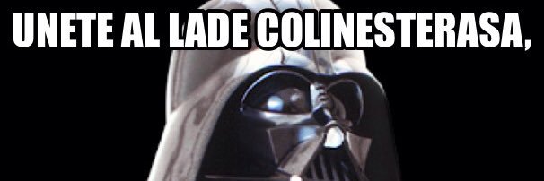 ecolinmx's profile banner image