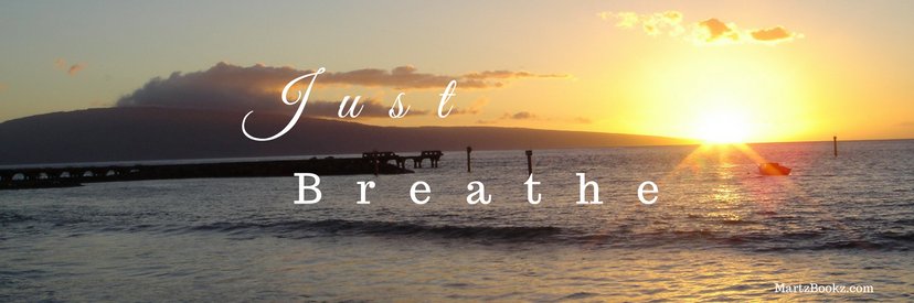 MarthaJRamirez's profile banner image