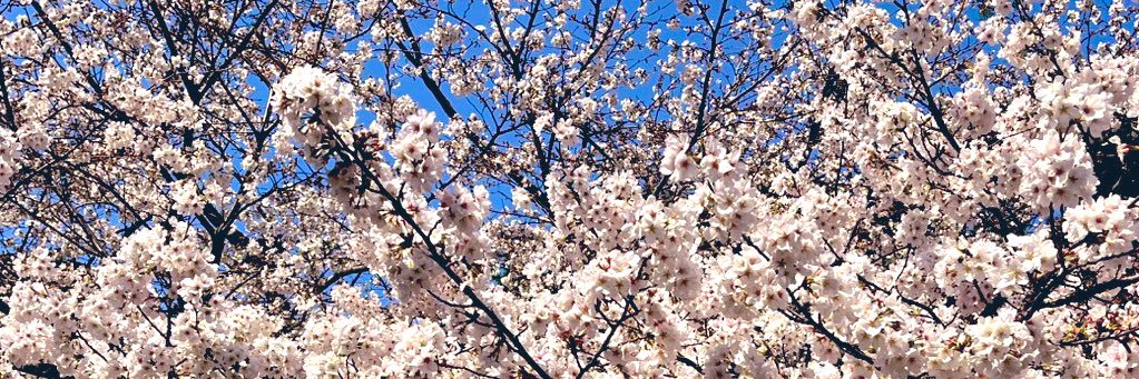 ikgm_mai's profile banner image