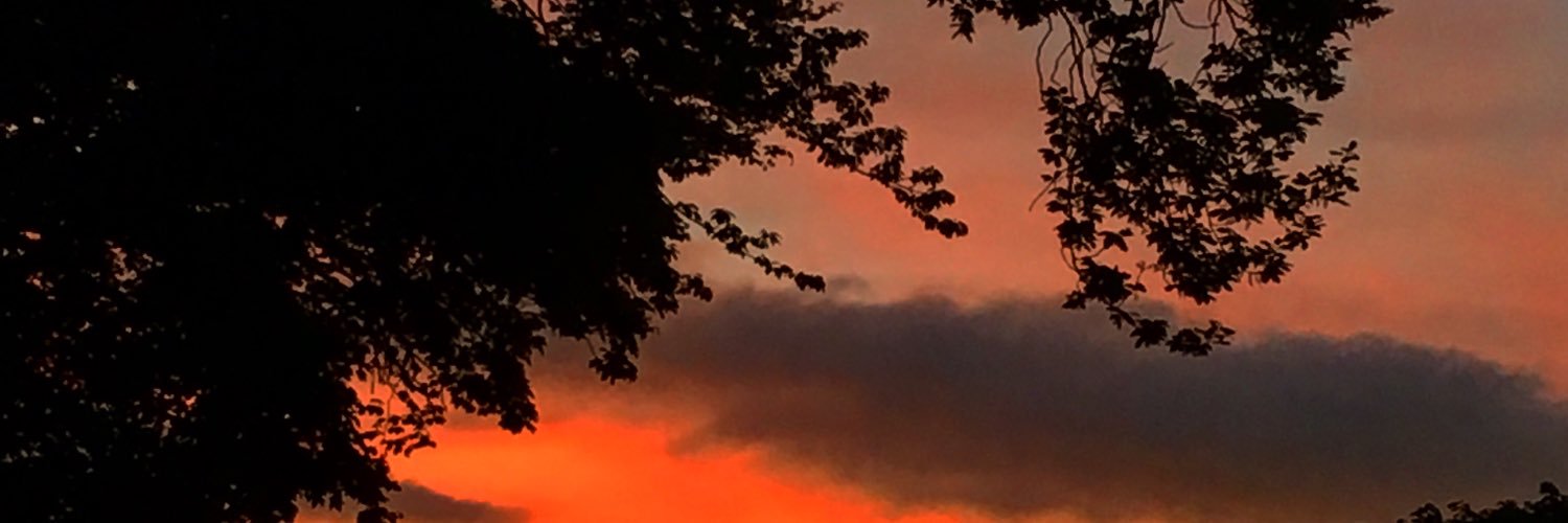 GwenLlooyd's profile banner image