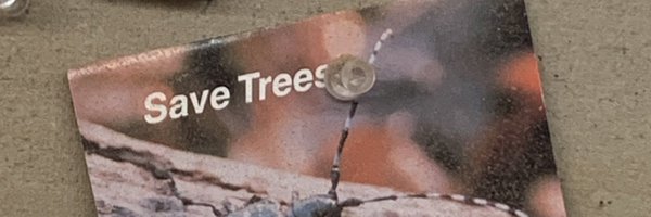 nnneim Profile Banner