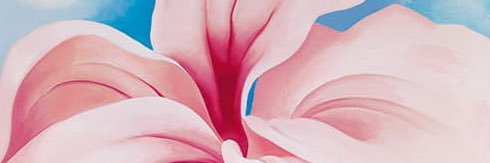 s58rd's profile banner image