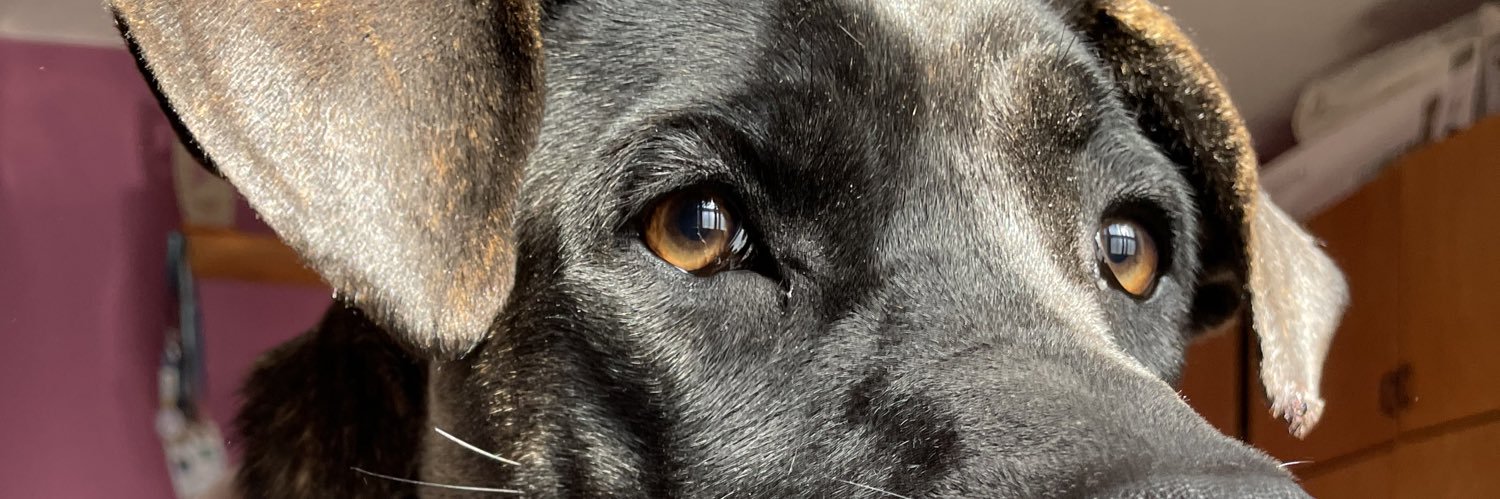 Flor_Menossi's profile banner image