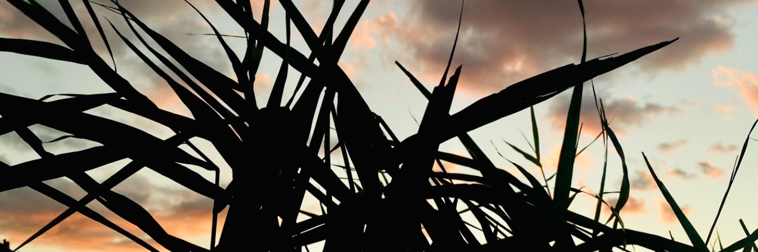 Aleksandr Grubin banner