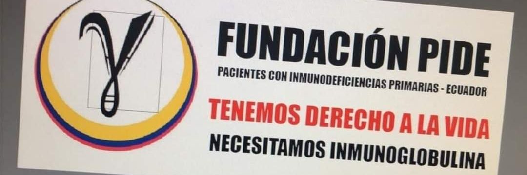 Fundación PIDE banner