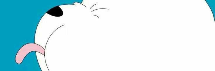 🐾 banner