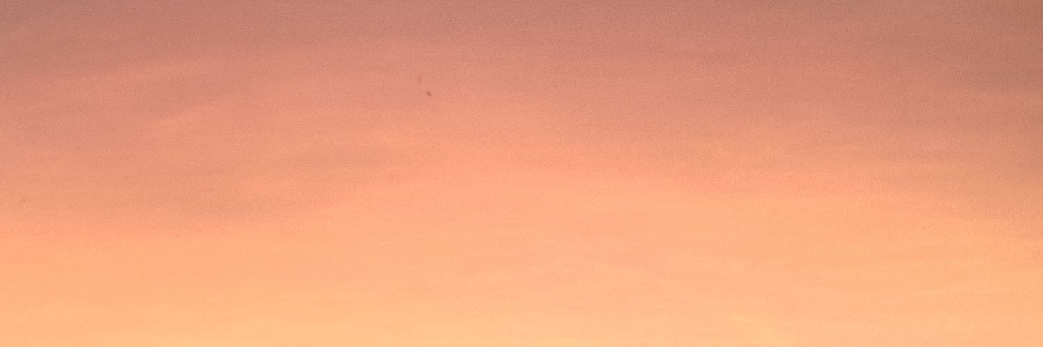 天秤小笨狗🐶 banner