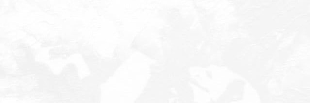 wa__ww__'s profile banner image