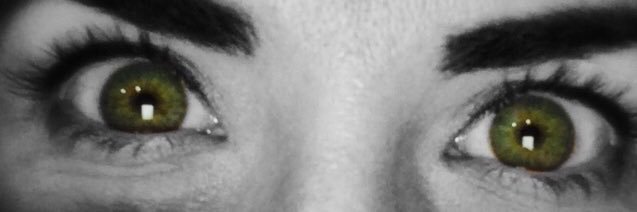 NameTagSaysBoss's profile banner image