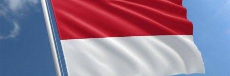 Bravo_munte's profile banner image