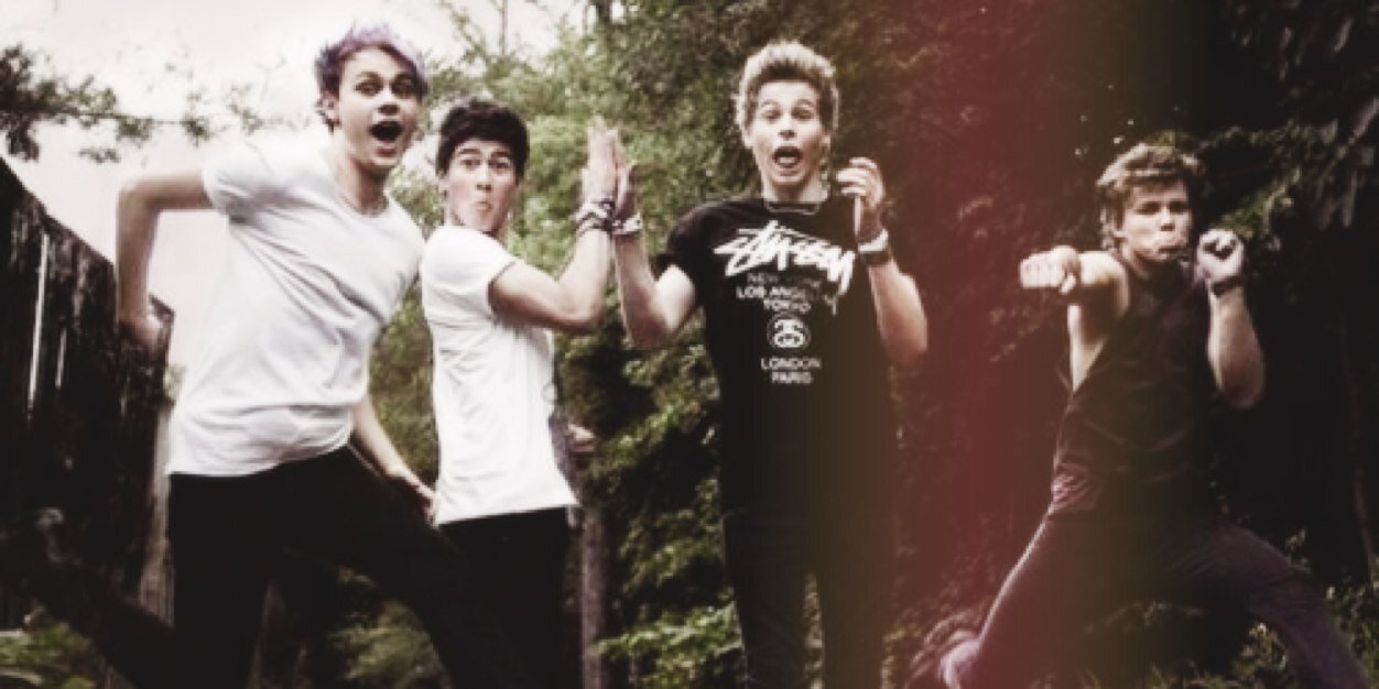 larrysbirdies's profile banner image