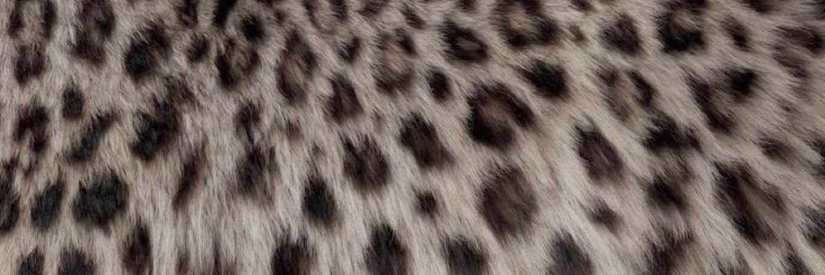 OuS_'s profile banner image