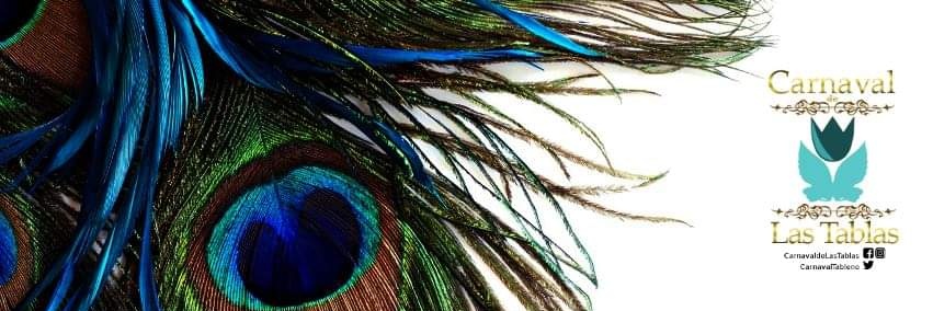 CarnavalTableno's profile banner image