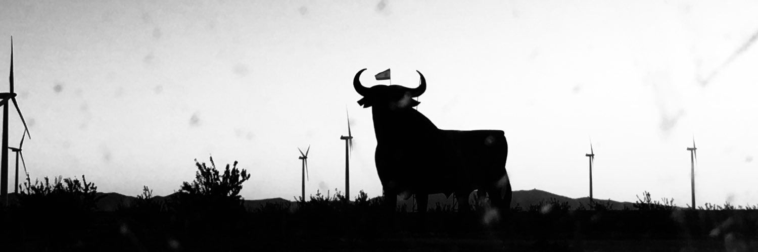 svalmana's profile banner image