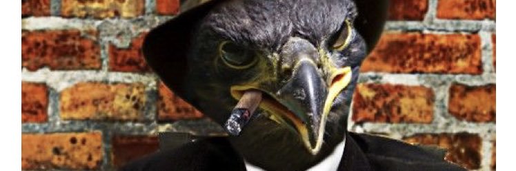 karl_kn's profile banner image