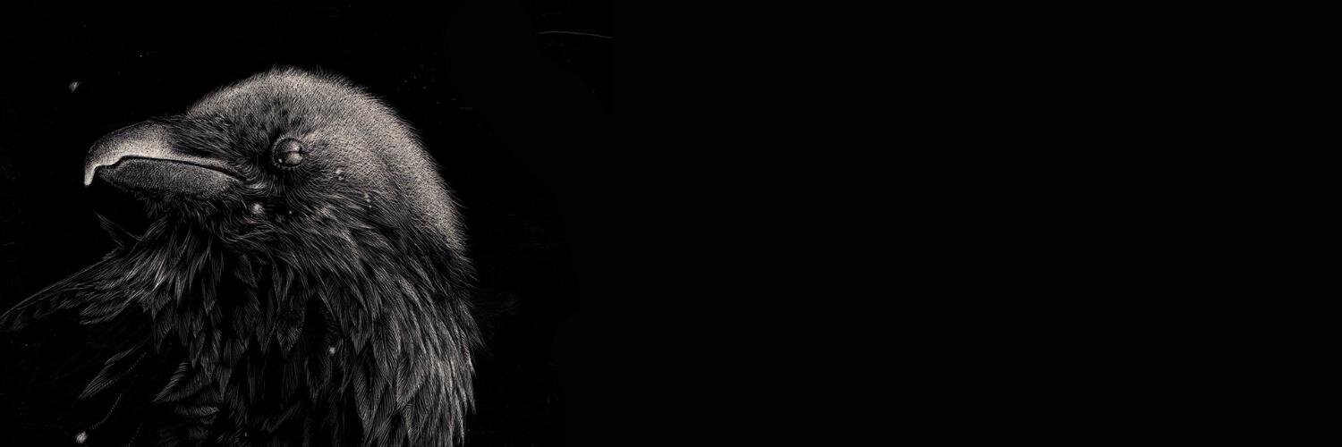 ziqcurly's profile banner image