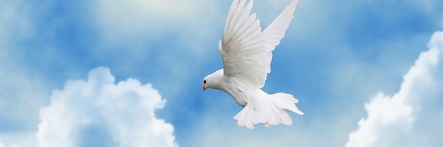 Caris Life Services banner