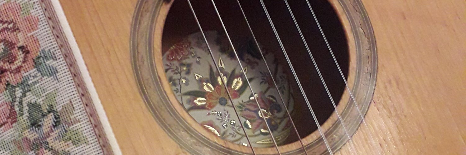 Lisa Schettner | singer-songwriter banner