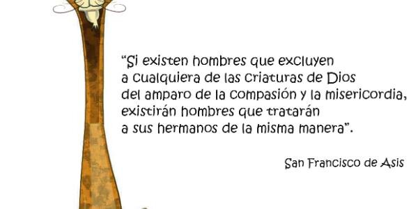 cruzcolmenarez's profile banner image