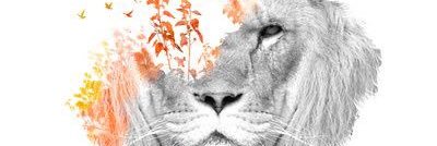 crizo619's profile banner image