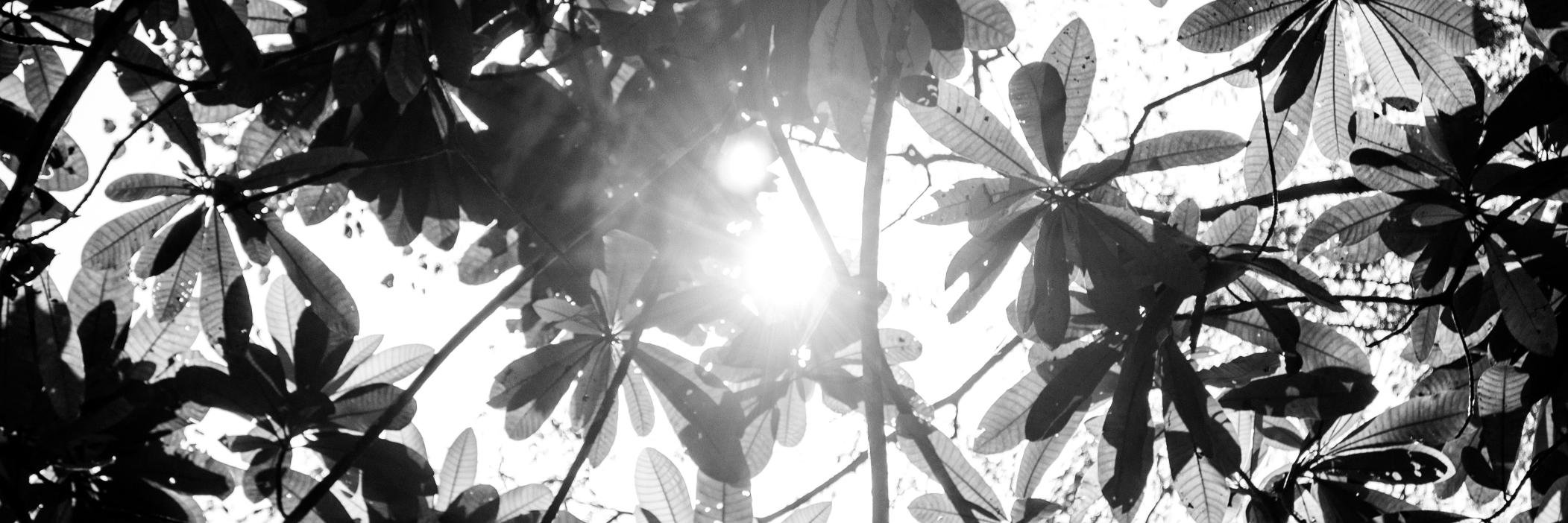 edwingcastillo's profile banner image