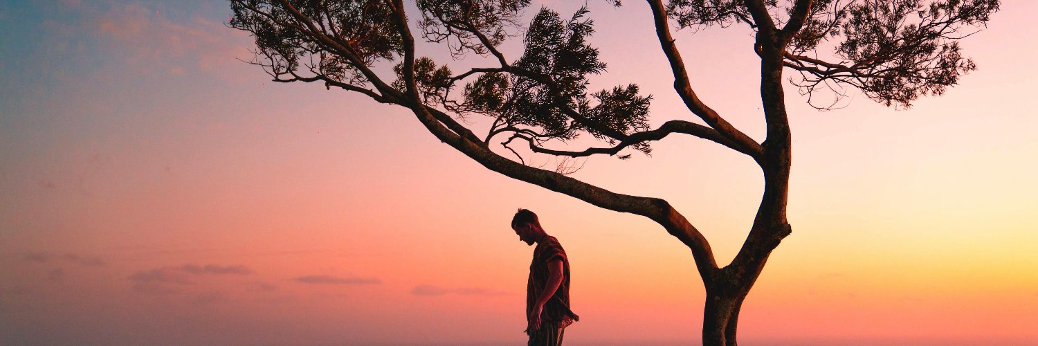 Bridget Webber banner