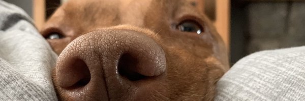 vspot79 Profile Banner