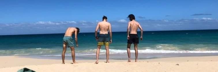 🐺 banner