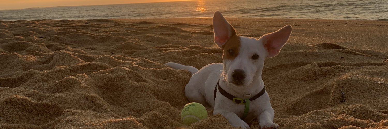 Thiaguinho 🖖🏻 banner