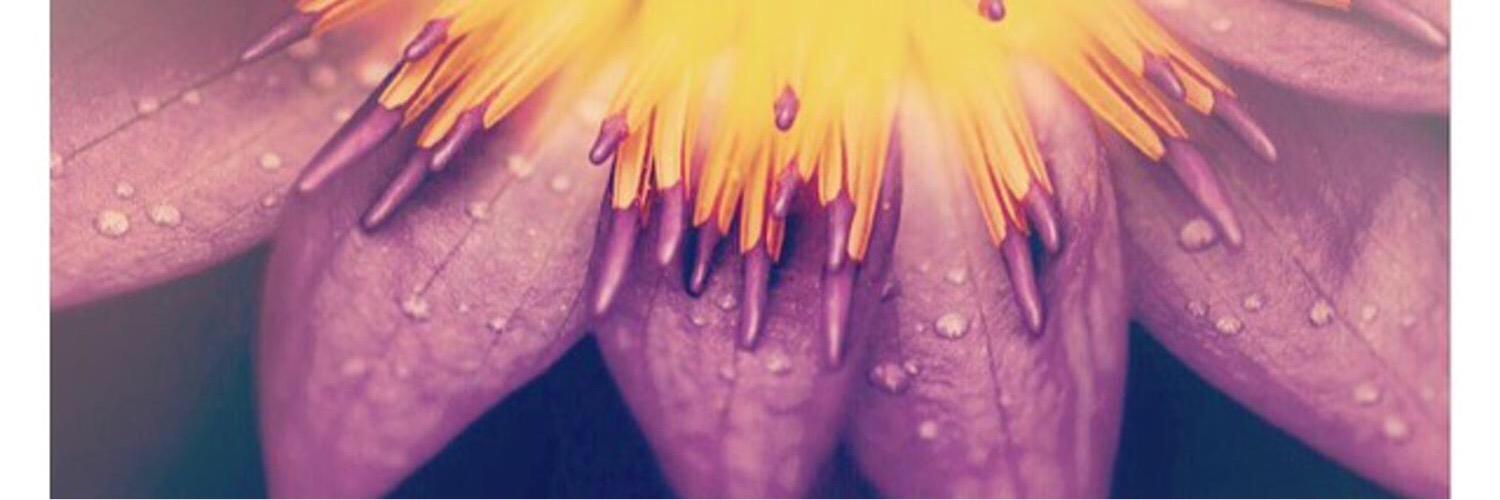 Authoritynarry's profile banner image