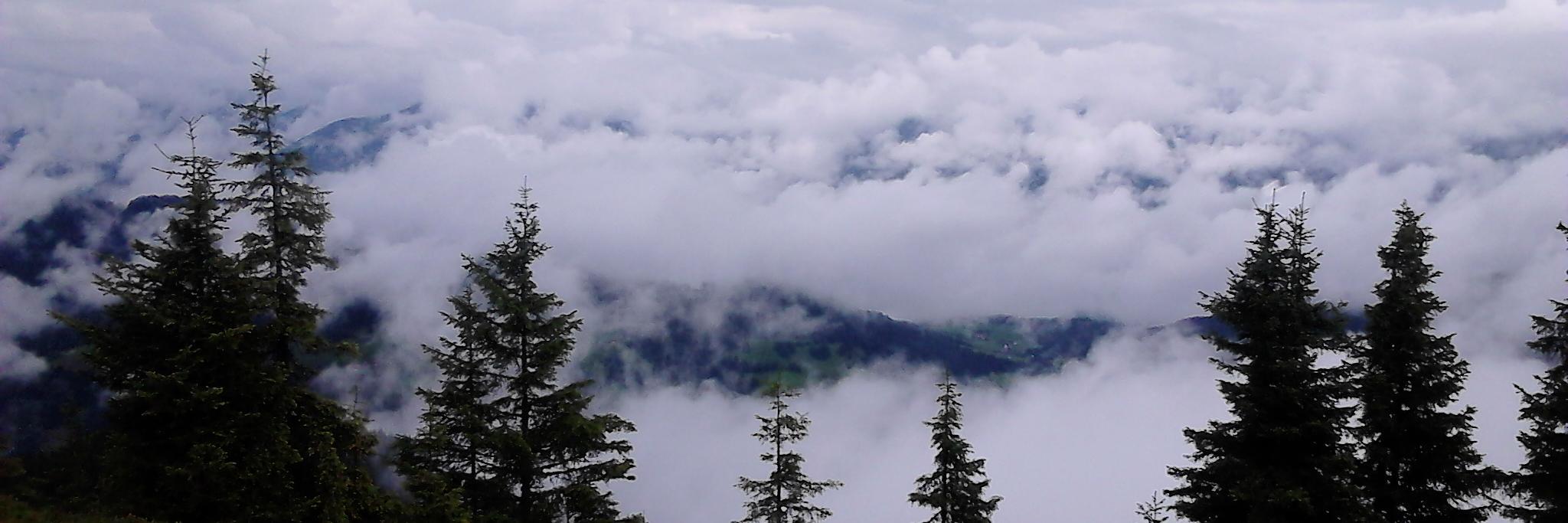 woolerscottus's profile banner image