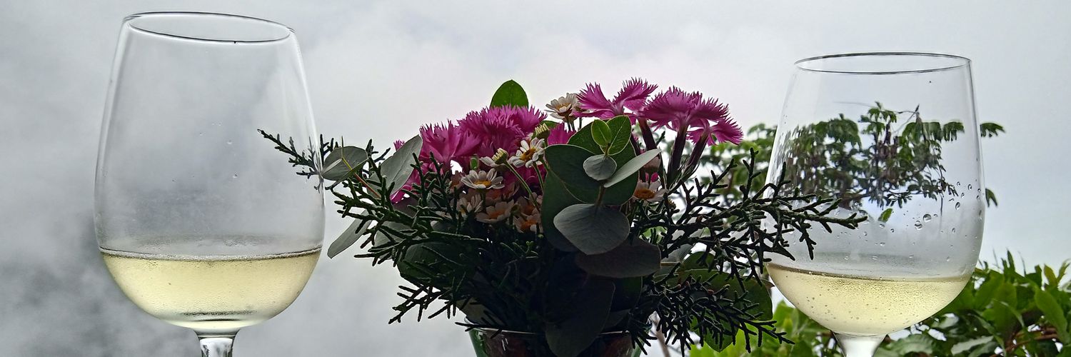 codigovino's profile banner image