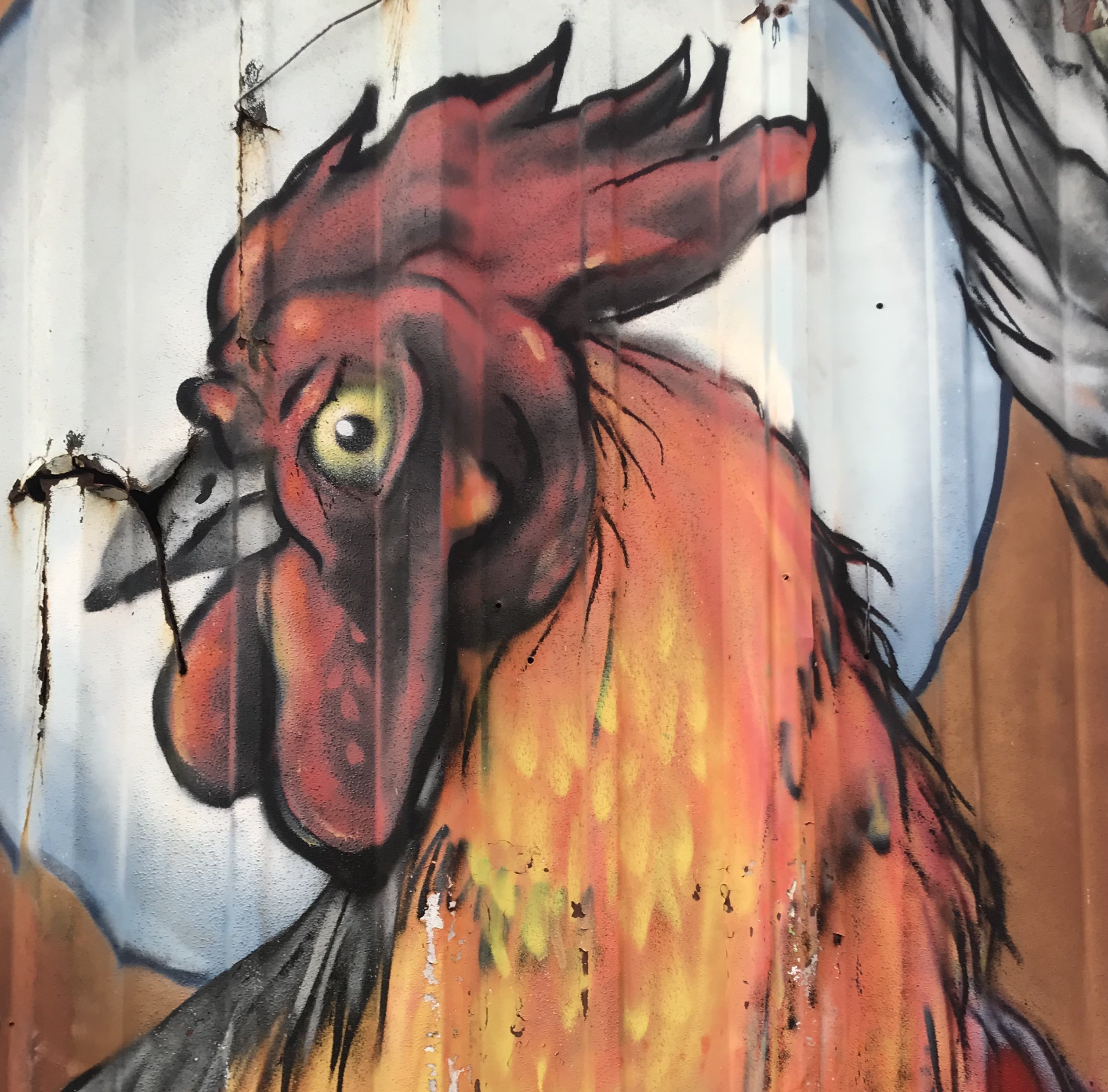 Katherine Fausset banner