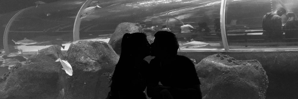 gabibleme's profile banner image