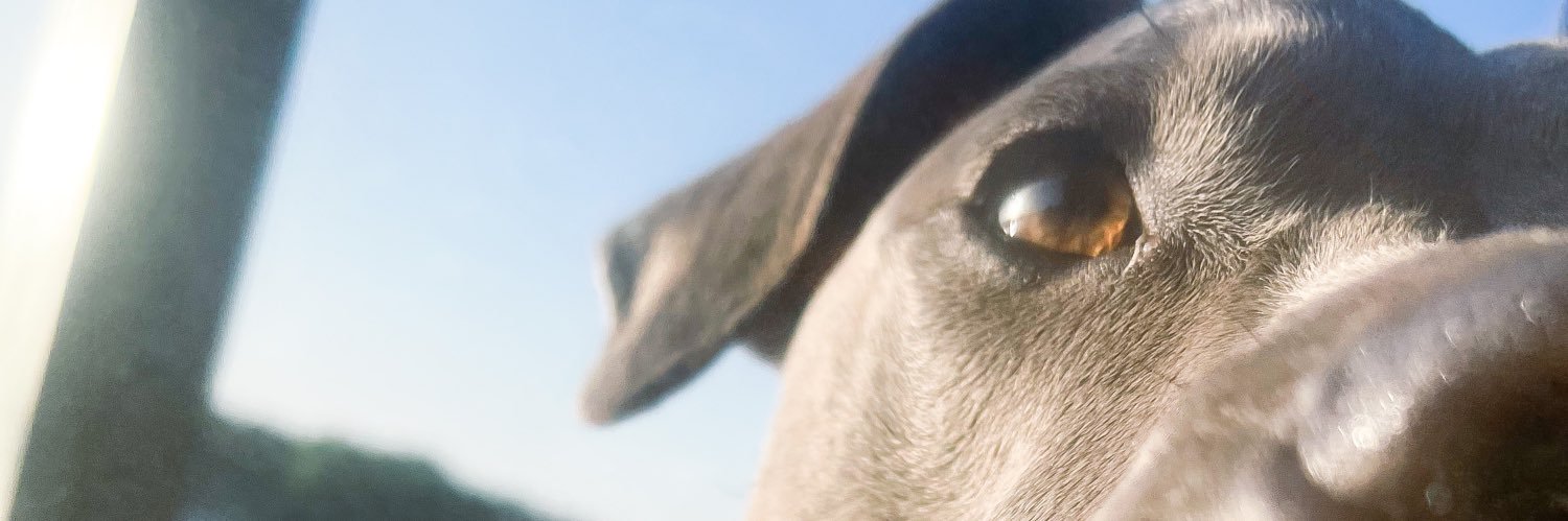 annadively's profile banner image