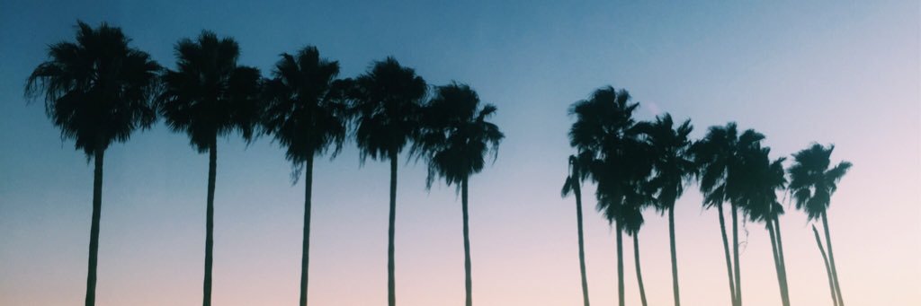 MorgannnMeoli9's profile banner image